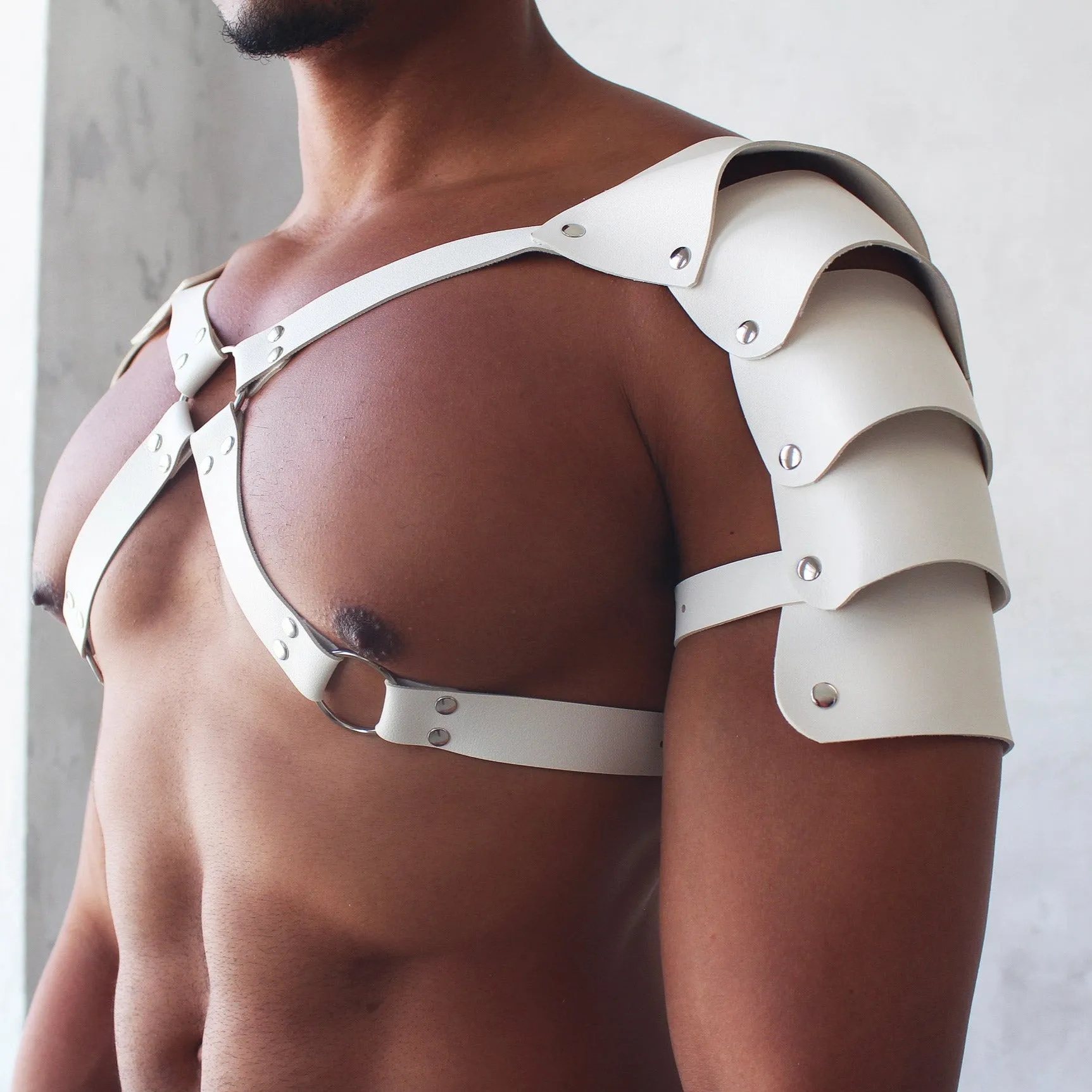 Armored Dual Shoulder Harness